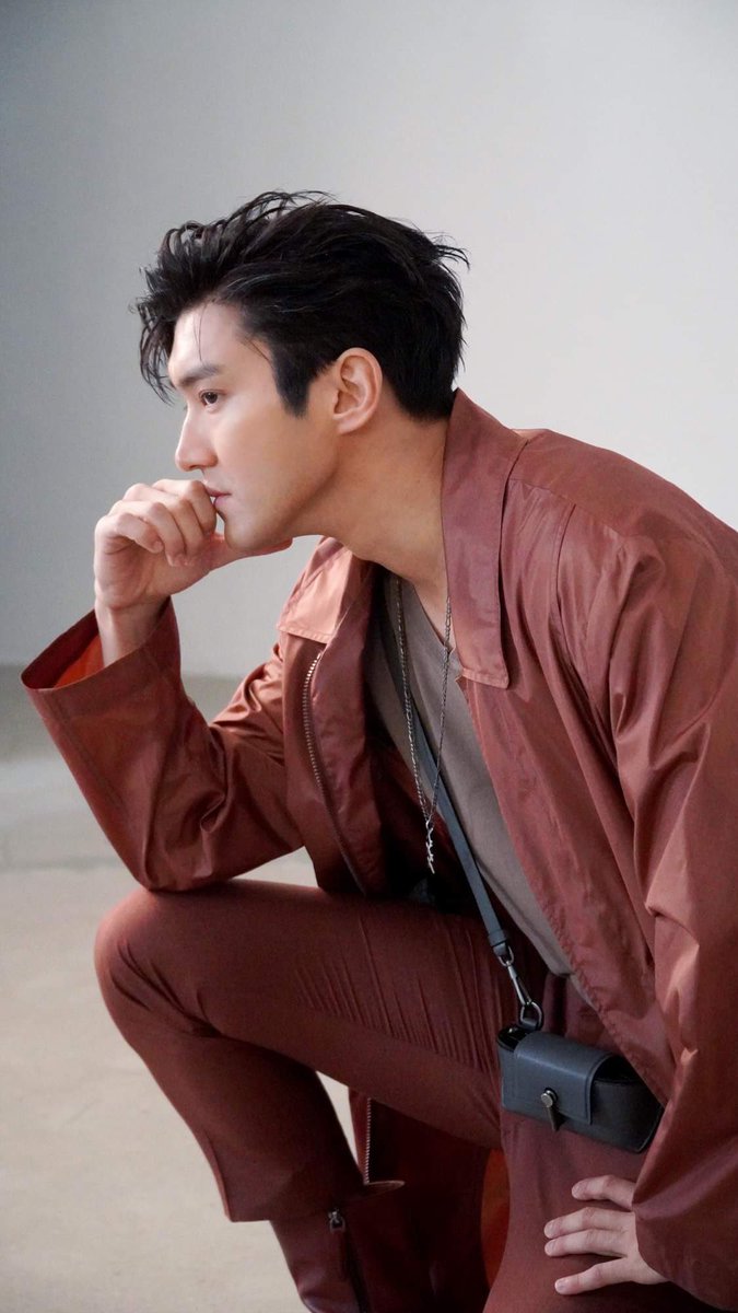 [THREAD] in admiration of choi siwon’s hands