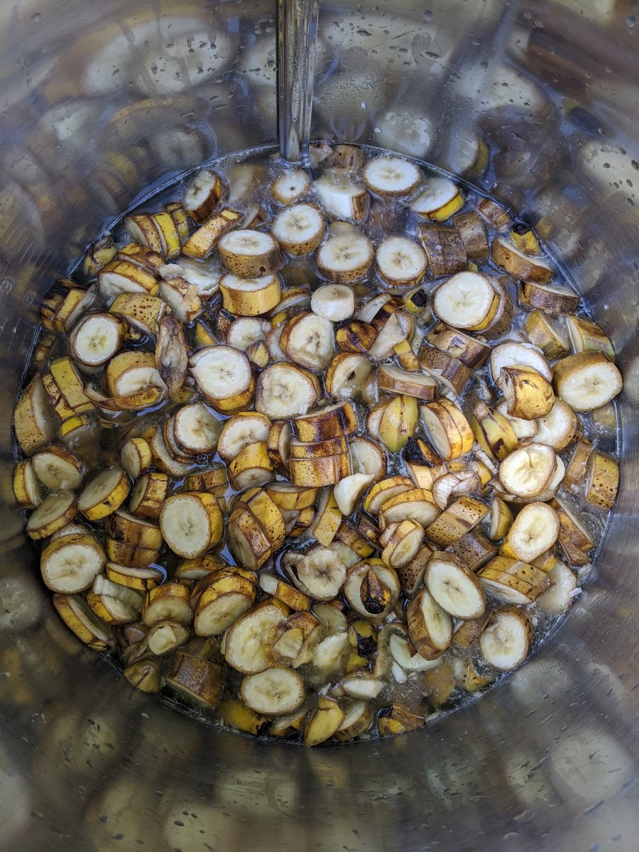 GruhlkeBrew's tweet photo. Finally starting up the #Banana #Maple #Mead !  I am excited for this one.

To start, I took about 20 gallons of #MapleSap that my dad and I collected earlier this year, reduced that down to about 4 gallons and added in 35 pounds of ripened bananas and a bit of pure #MapleSugar https://t.co/QdDPVMyd4f