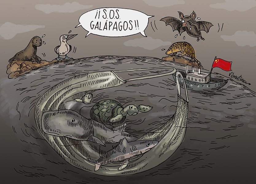 vilmavargasva's tweet photo. #FlotaChina #Galápagos #SOSGalápagos #Ambiente #Ecuador https://t.co/q33JSzF5gj