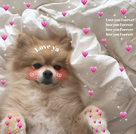 zaaaxy's tweet photo. Happy 20K, stellars! Let's stay together for a very long time 🥳 yikes #20KStellarswithZaaaxy https://t.co/p1sYIUJYb2