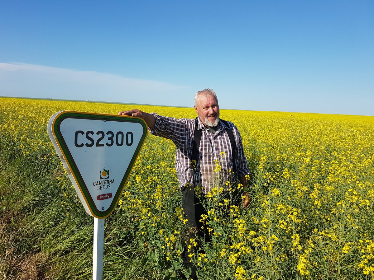 Page__Newton's tweet photo. Check out this high yielder @canterraseeds #CS2300 at Liittle Bow! And this is the dryland portion of the new pivot! Thx Dan Hofer for your support 😊 https://t.co/zWpksIDsjX