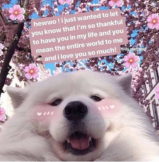 zaaaxy's tweet photo. Happy 20K, stellars! Let's stay together for a very long time 🥳 yikes #20KStellarswithZaaaxy https://t.co/p1sYIUJYb2