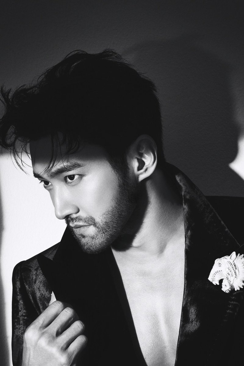 [THREAD] in admiration of choi siwon’s hands