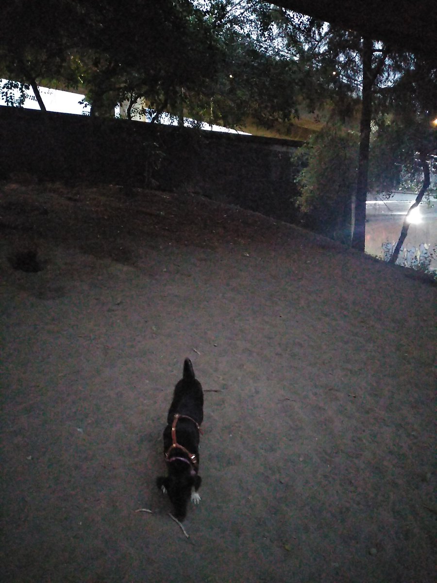 Área Canina oscura, Augusto Rodin y Lateral Río Becerra.

Quién puede apoyar con eso?

<a href="/ccampnap17/">Ampliación Nápoles</a> <a href="/betotok/">Alberto Islas Labastida</a> <a href="/STaboadaMx/">Santiago Taboada</a> <a href="/storreblancae/">Santiago Torreblanca</a> <a href="/AAtaydeR/">Andrés Atayde</a> <a href="/Hortensia63/">Hortensia Cristerna</a> <a href="/Digitallpost/">Digitallpost</a> <a href="/SOBSECDMX/">Secretaría de Obras y Servicios CDMX</a>

Gracias