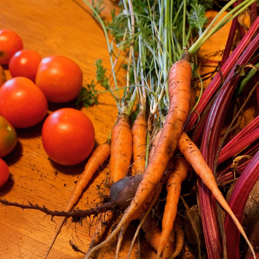 LukeGlaser1's tweet photo. The only thing tougher than 2020 is these freakin beets. #moneybeets #tommytoes #babycarrots https://t.co/CjJHuVHVDK