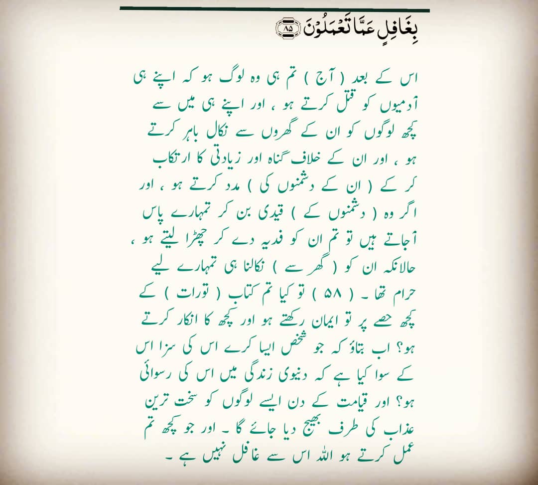 BabarShafique12's tweet photo. ❤❤ @Bilal__hun @Hammad94927189 https://t.co/dfKft4F0fI