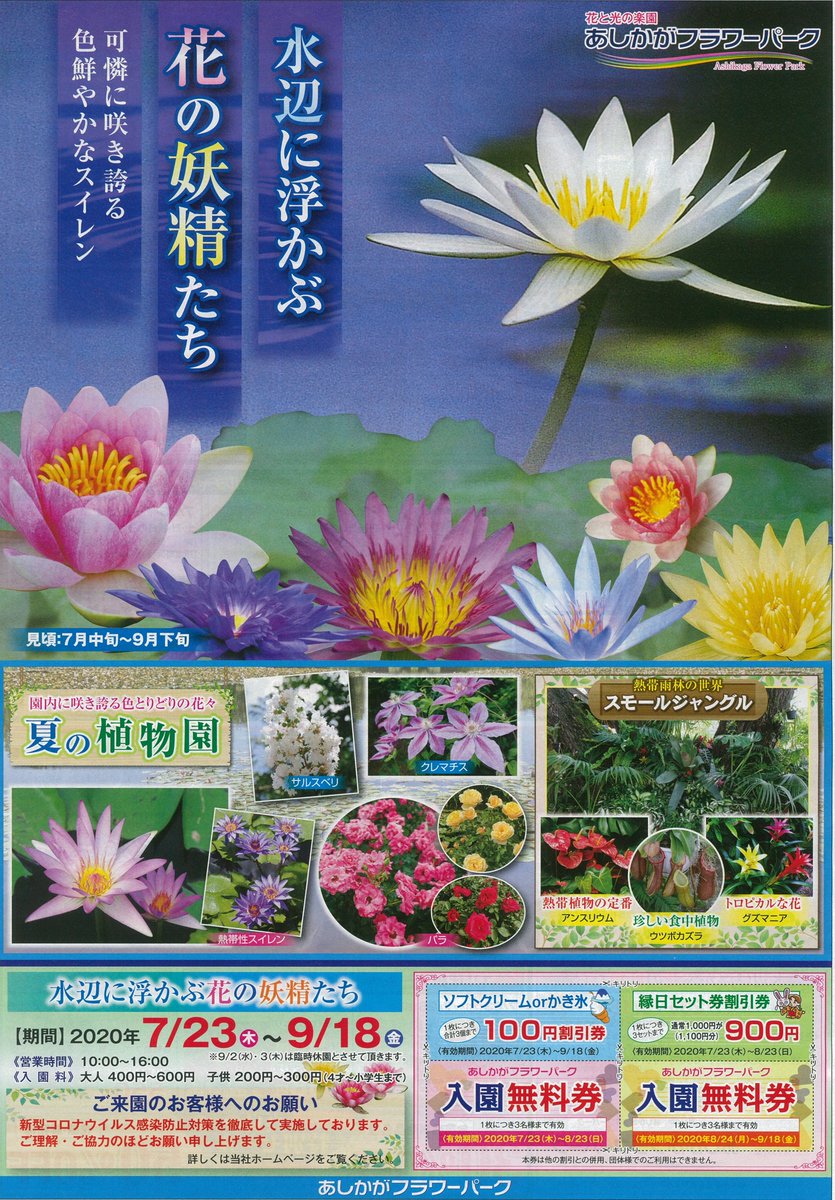 Twitter पर 足利市観光協会 あしかがフラワーパーク様から 水辺に浮かぶ花の妖精たち のチラシを頂戴いたしました 夏ですね チラシは 太平記館とあし ナビにご用意しております