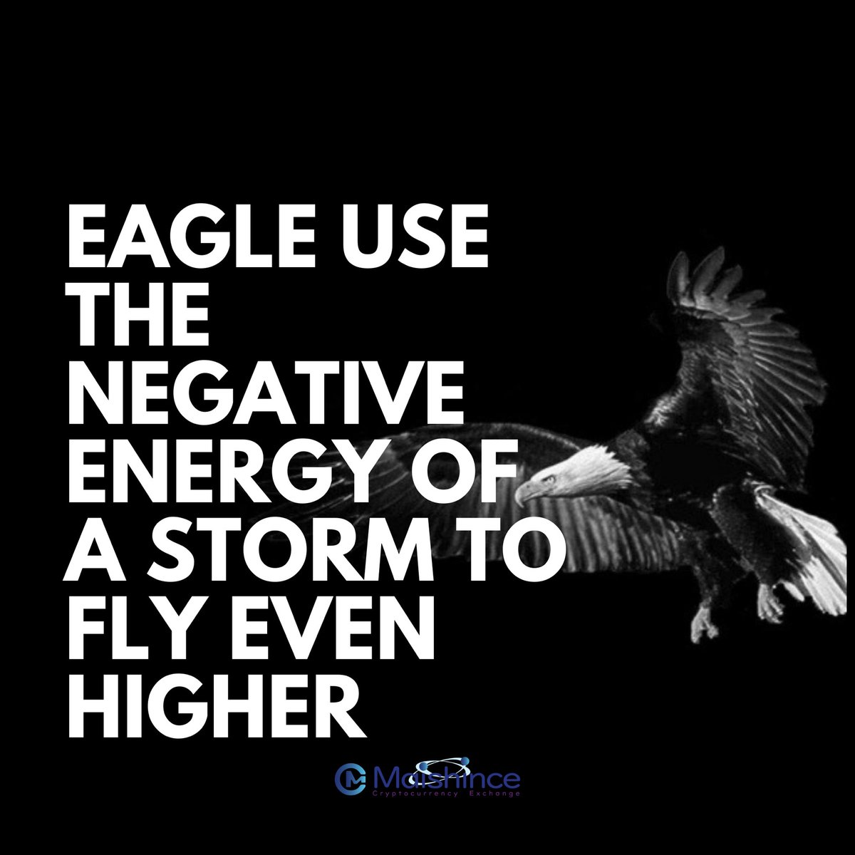 Use the storms of life to rise to greater heights, never let them bring you down
.
#inspirational #motivational #inspirationalquotes #inspiring #quotes #life #lifequotes #motivate #inspirationallifequotes #blockchain #cryptocurrency #positive #positivequotes