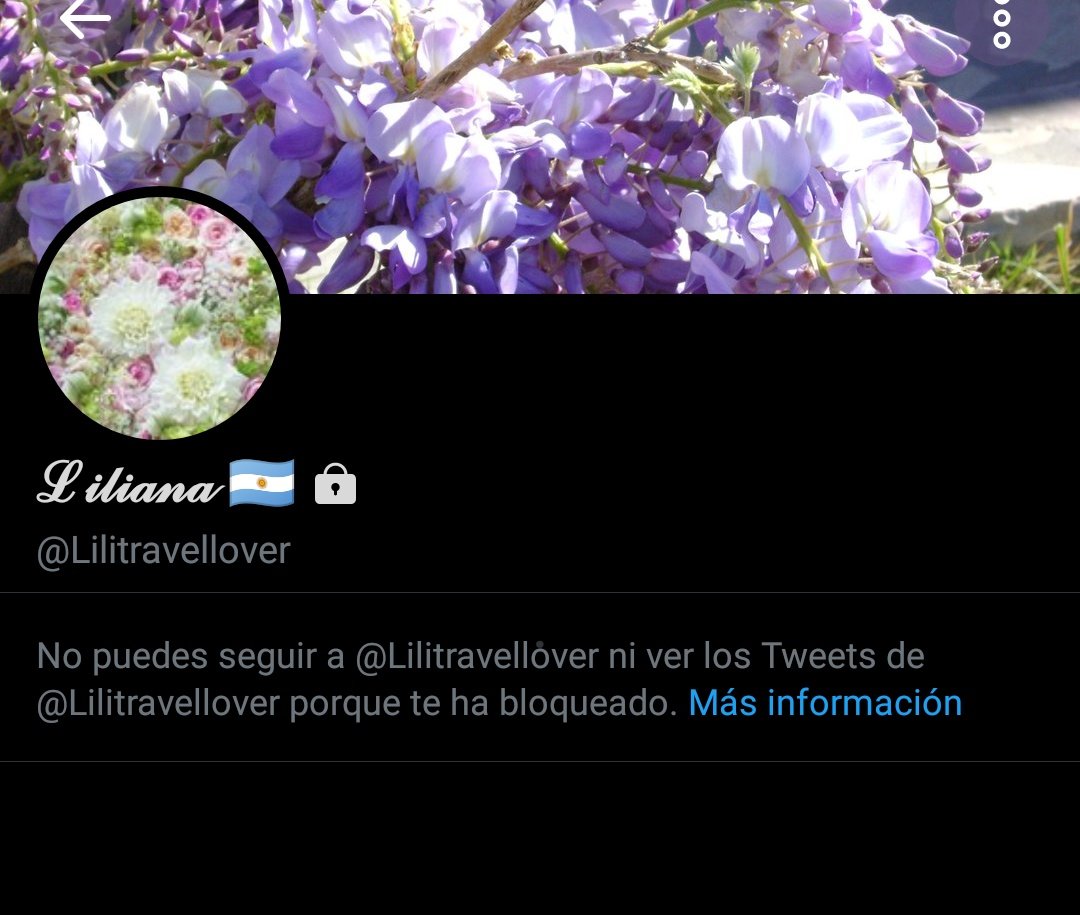 francobertogli1's tweet photo. Bueno ya que estamos, me tocó a mi ahora #NoSeasComoLili #anametida https://t.co/SXnARppG8M