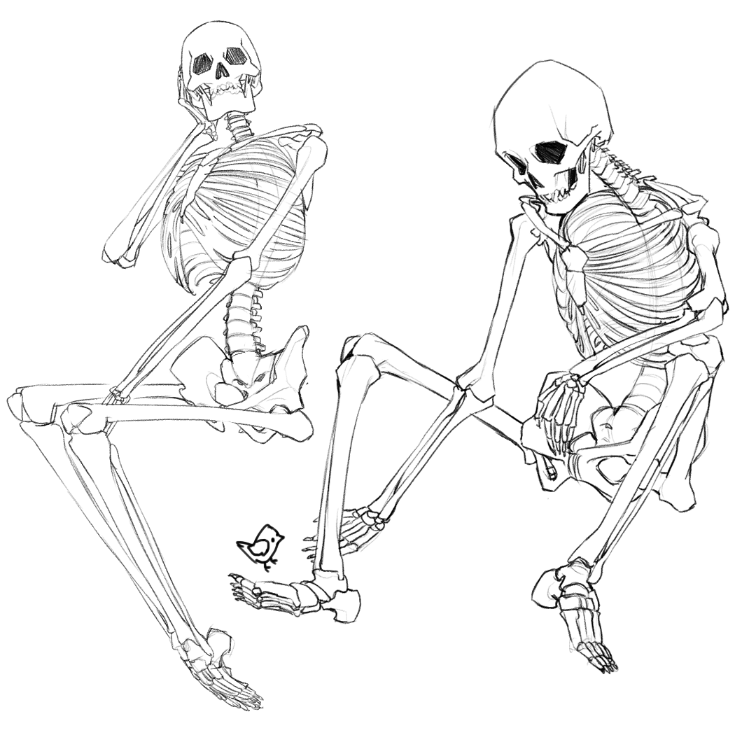 More skeleton practice; Also I'm not counting the ribs SO LONG AS IT looks like an acceptable amount of ribs 