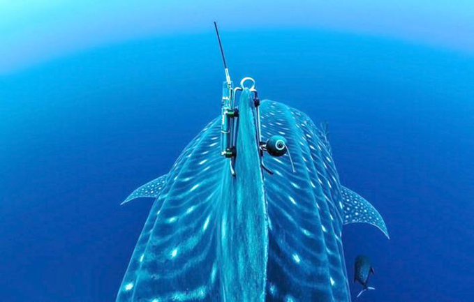 LaHistoria tweet media