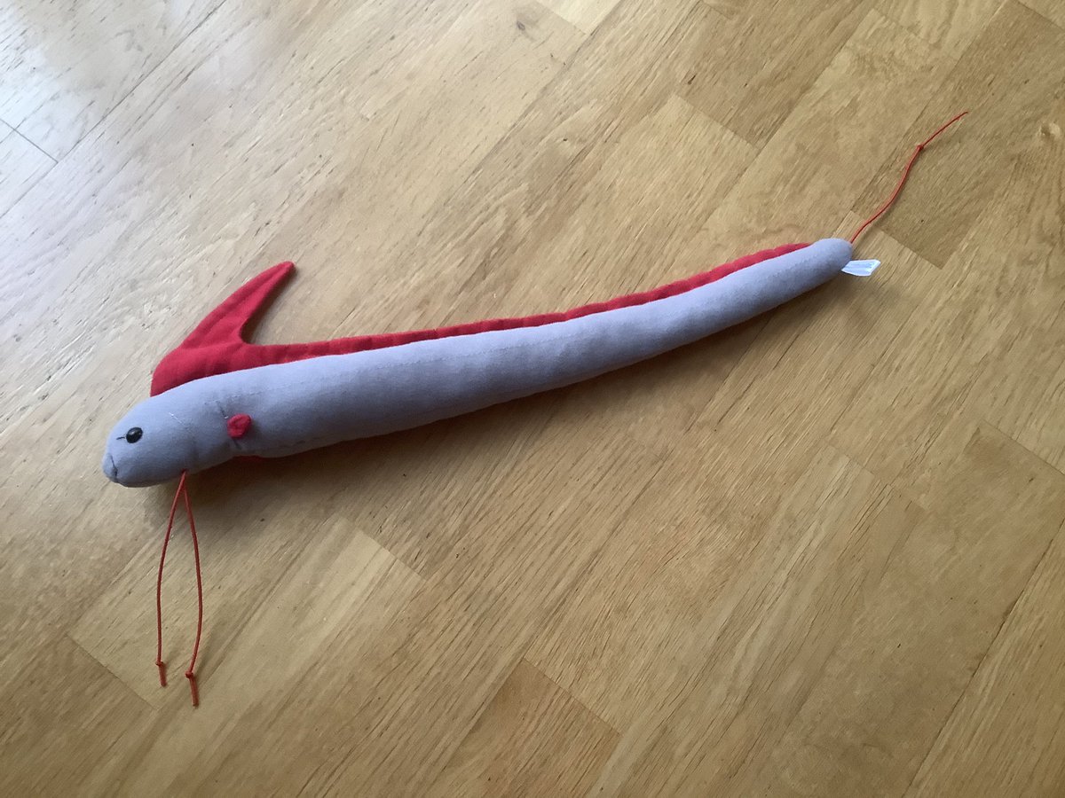 さかもとこのみ ねえねえ魚の絵描いて って言われたときに描く プレーンのさかなよ いきなりチョウチンアンコウや リュウグウノツカイは描くまい