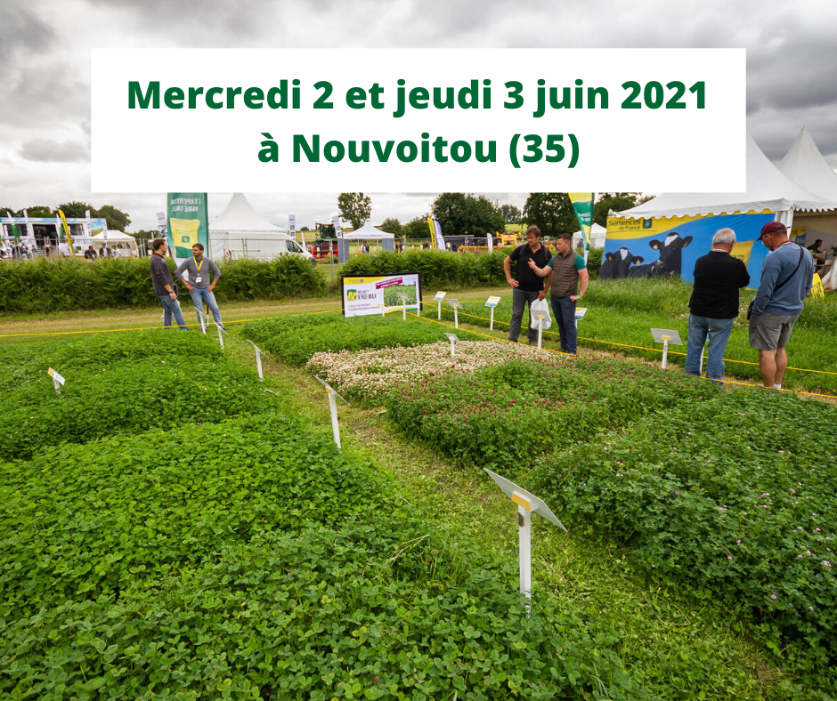 En raison de la crise sanitaire, l’édition 2020 du Salon de l’herbe et des fourrages prévue à Poussay (88) les 10 et 11 juin derniers, a été annulée.

Nous espérons vous retrouver nombreux les mercredi 2 et jeudi 3 juin 2021.😀

️Pour en savoir plus 👉salonherbe.com