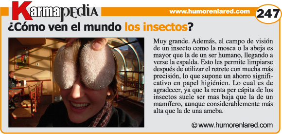 revista_ELKARMA's tweet photo. Primero la #Karmapedia. Y luego, ya si eso, usar la zapatilla, el trapo, o intentarlo a cañonazos si tu conciencia te deja... https://t.co/f0xhHssXHx