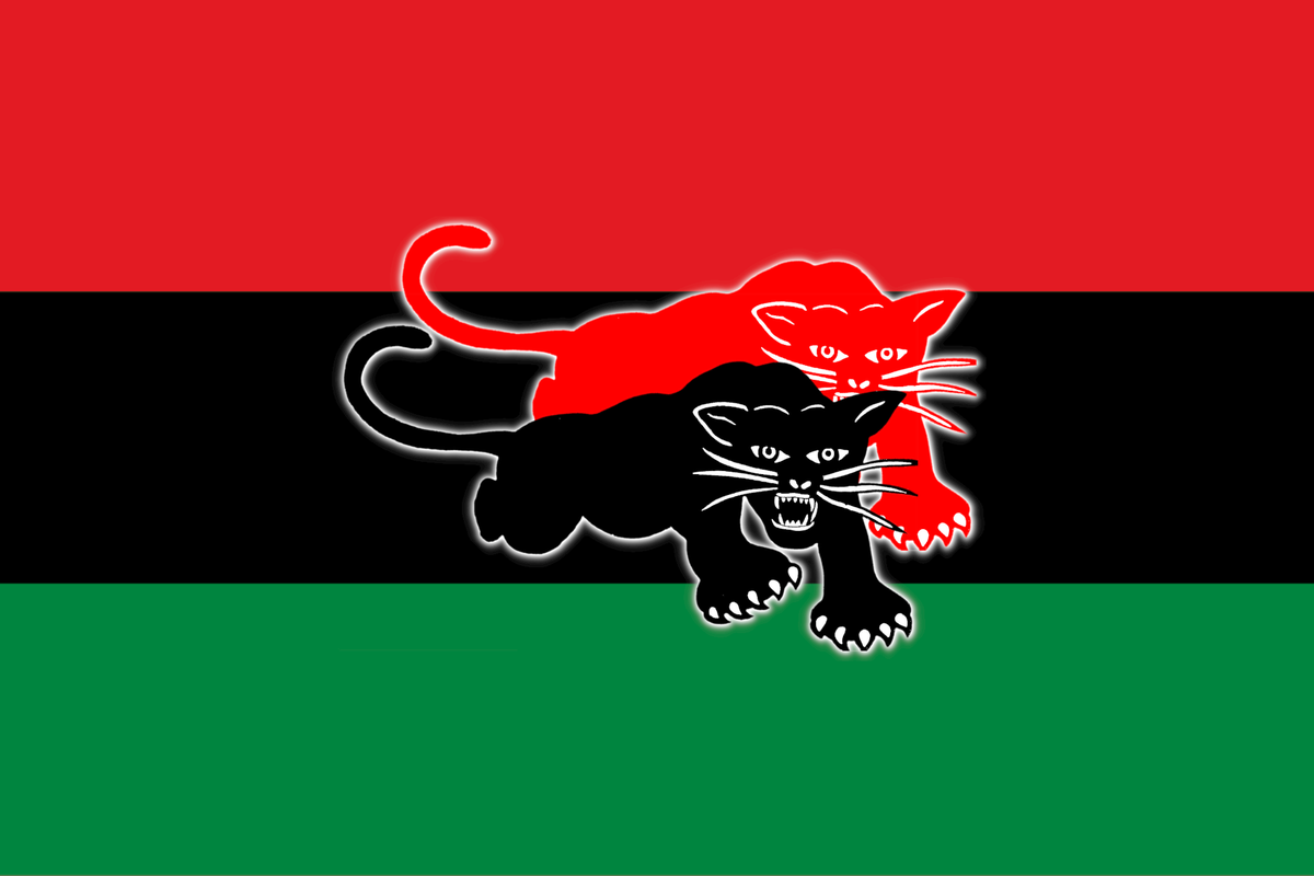 Die #Panthifa ist eine radikal linke, antikapitalistische, antikoloniale und intersektionale Gruppe für Schwarze Selbstermächtigung und Organisation in Deutschland.

Die #Panthifa versteht sich als pro-Schwarze Bewegung, von Schwarzen für Schwarze.