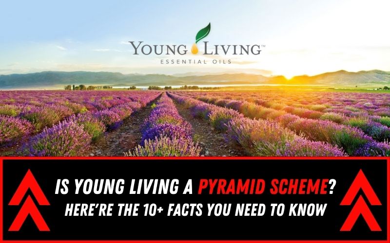 LGFmotivation's tweet photo. Young Living has a bad name in public because of utilizing MLM in business. But, is it a Pyramid Scheme for real? Here're 10+ untold facts you need to know.

Click To Read: https://t.co/ZBoTQOUJxu

#mlm #networkmarketing #youngliving #pyramidscheme https://t.co/QhYo6s7E3L