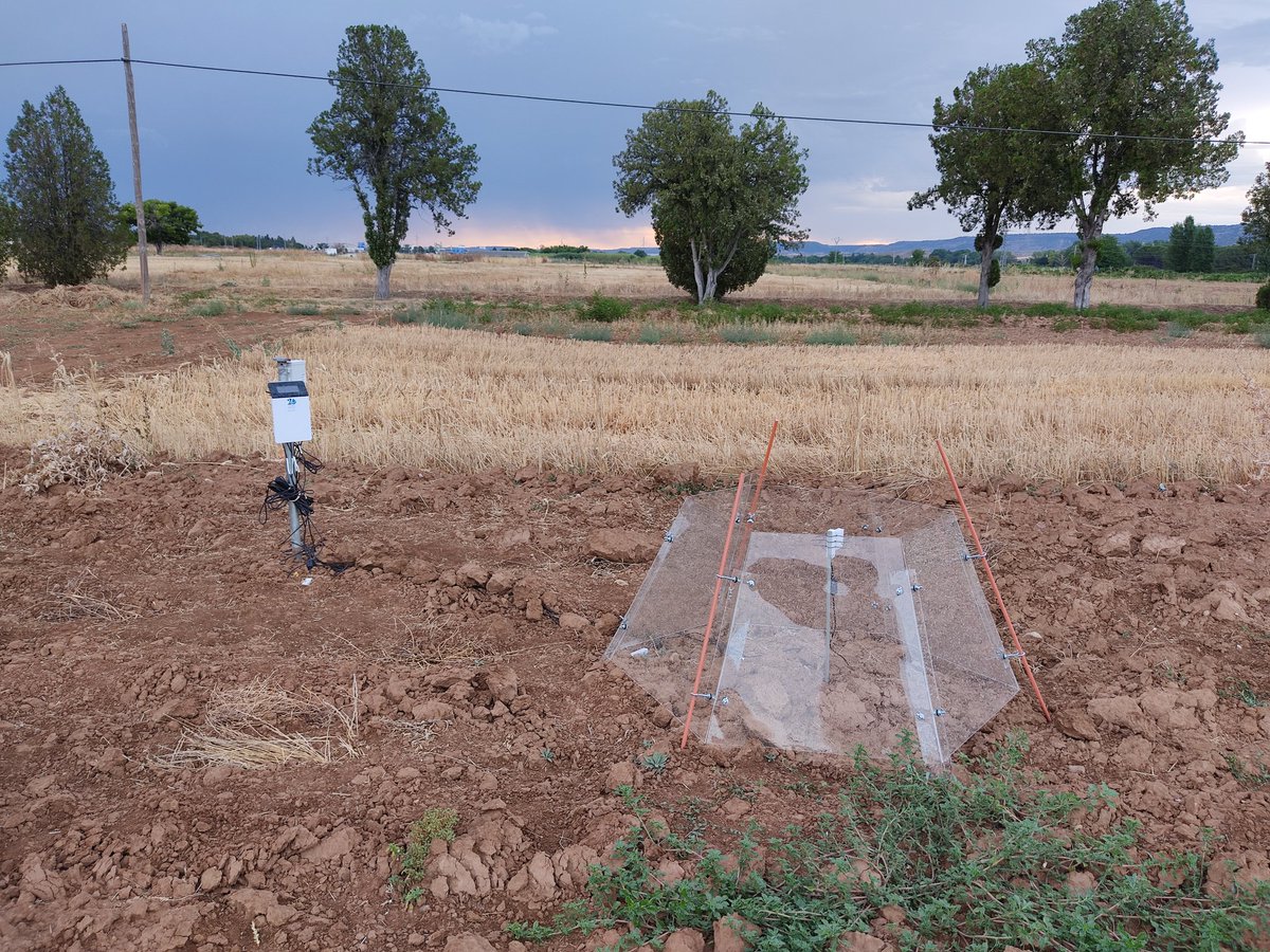 jlgabriel12's tweet photo. Cámaras para el estudio del efecto del cambio climático (aumento de temperatura y reducción de lluvia), la rotación y del laboreo en los suelos de cultivo y en la biodiversidad y funcionalidad de su microfauna en #INIA_LaCanaleja
@INIA_es https://t.co/mpSIeQpAuX