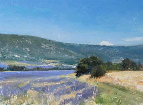 shiftinglight's tweet photo. Lavender fields at Monieux - Summer in Provence https://t.co/zFGh8TbYHO
