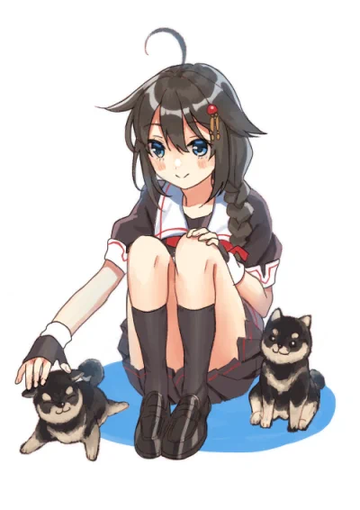 わんこ 