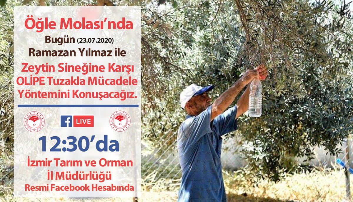 izmirtarim's tweet photo. Öğle Molası'nda günün konusu #zeytinsineği ile mücadelede en etkili yöntemlerden olan #olipe tuzakların kullanımı.
#ÖğleMolası 12:30'da Resmi #Facebook Hesabımızda
https://t.co/QVYKdtdZ0e https://t.co/6gUOEraRb4