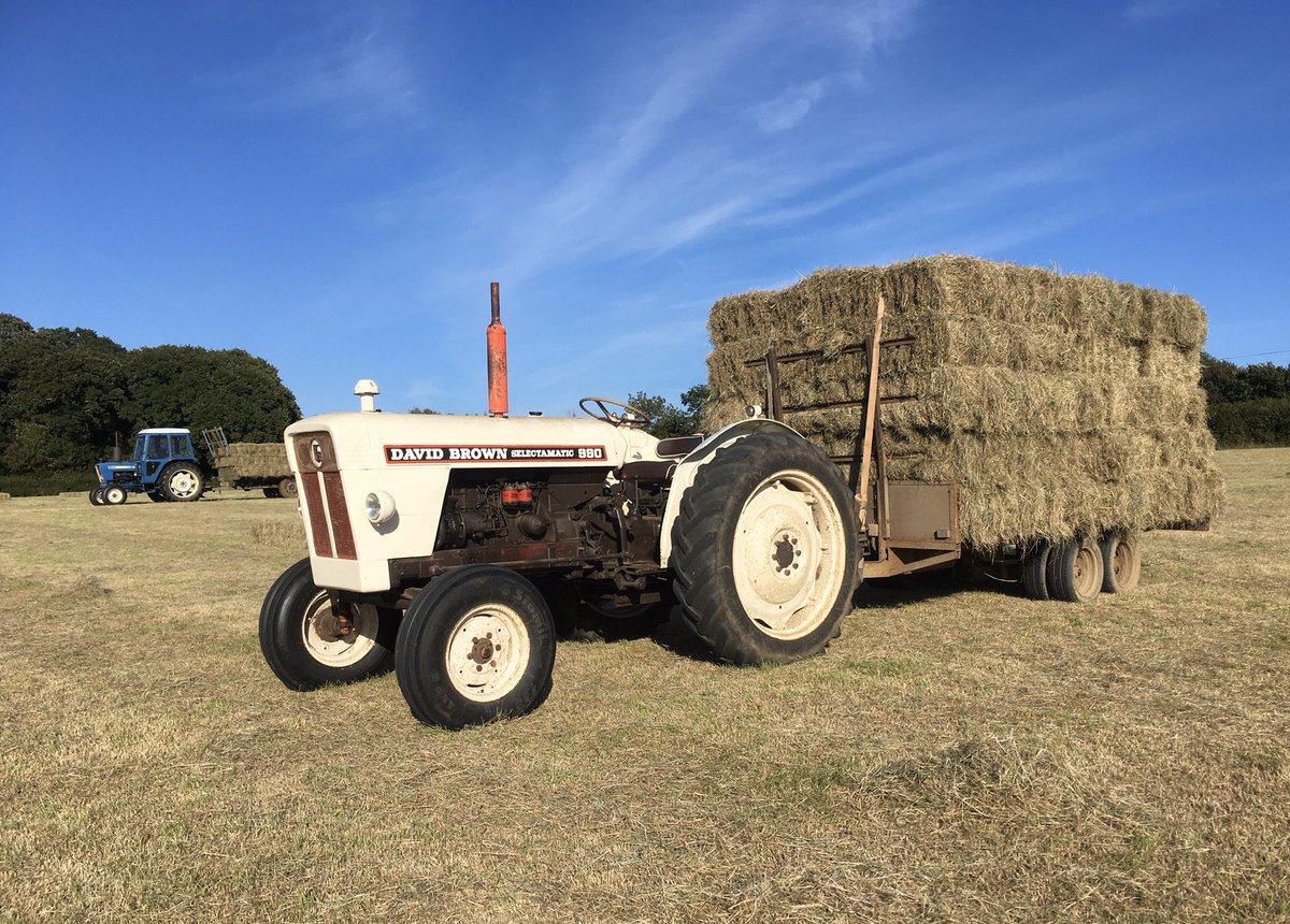 🐑 Farmer Dixon 🐐🐮🐓🐏🌿 tweet media