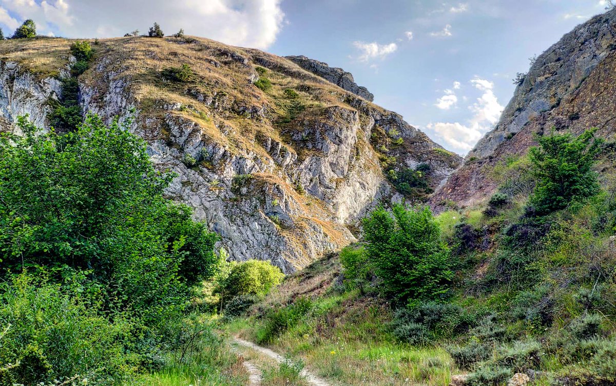 pd_diaz's tweet photo. "La senda es angosta, la meta imprevisible" 🏞️
·
·
#DesfiladerodelaHoz y el #ríoOca ~ #MontesdeOca. #EmbalsedeAlba, #Burgos.
·
[#desfiladero de la #hoz / #foz, #garganta / #villafrancamontesdeoca, #burgosenelmundo, #cyl, #cylesvida].
https://t.co/G1jgRv0Oqy https://t.co/s8ZMckLgij