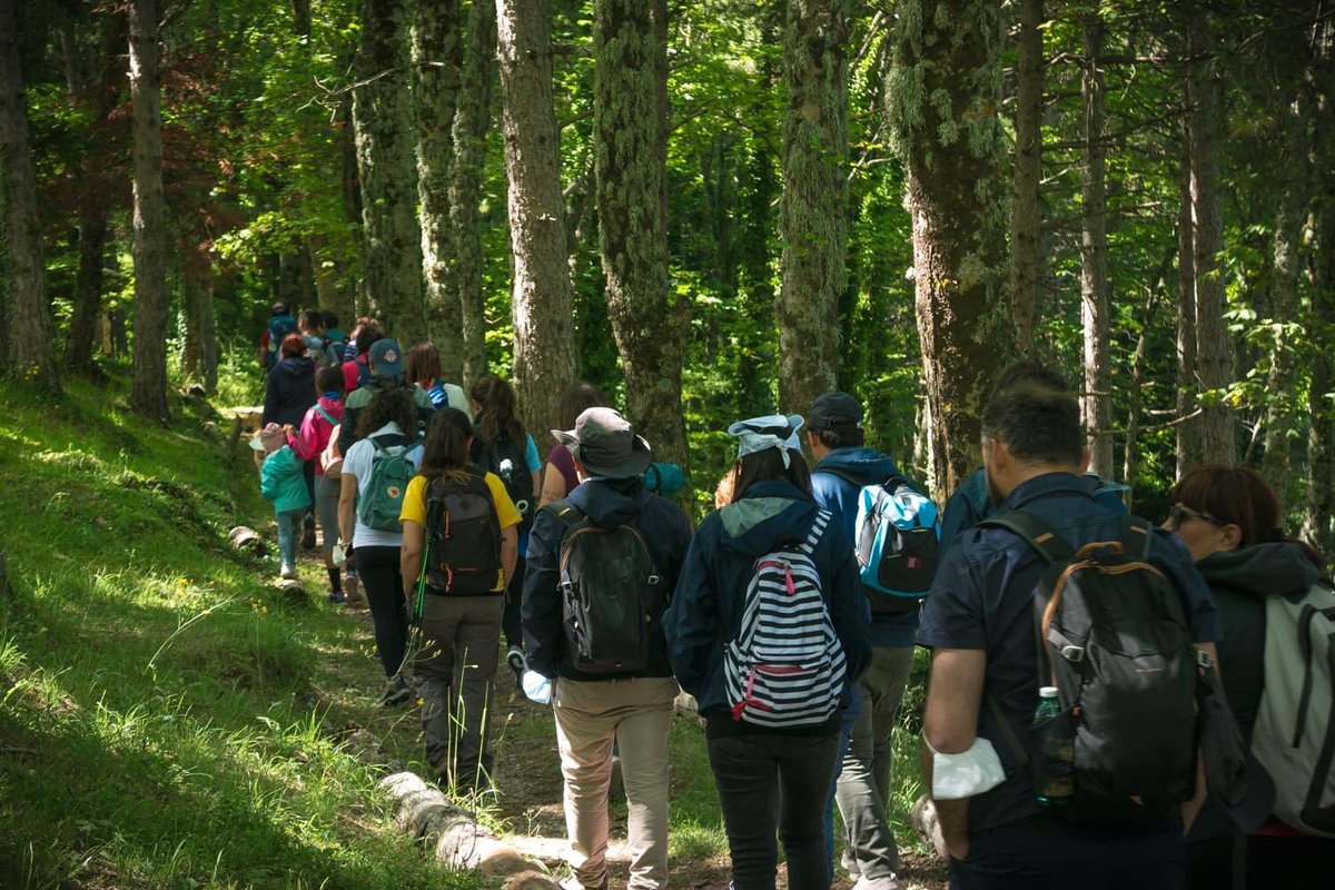 Molisetrekking's tweet photo. Domenica 19 luglio si è svolta l'escursione giornaliera "L'incanto degli Abeti Soprani e l'eremo di San Luca" a Pescopennataro (IS).
Una giornata molto bella, con un clima rilassato, intimo e familiare, paesaggi e ambienti superlativi, cultura, emozioni e sentimenti positivi. https://t.co/V0ChKx0Im9