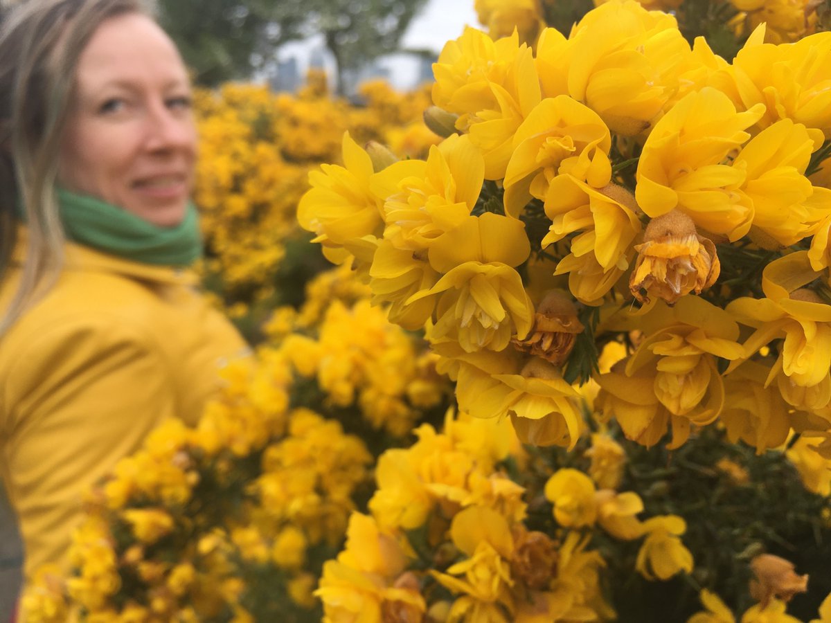 AnnePointNL's tweet photo. London stories by © ANNE• 2020

#blossom #nature #yellow #flowers #grow #bluesky #individual #socialdistancing #springpower #bloom #focus #colourcoding #lookaround #friendship #womanpower #city #stayhome #getwellsoon #London
Model Jill https://t.co/m7Bkp7m8Rw