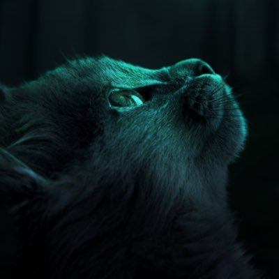 #NewProfilePic https://t.co/UiWeVNhNMl<a href="/tag/newprofilepic"class="tags">#NewProfilePic</a>