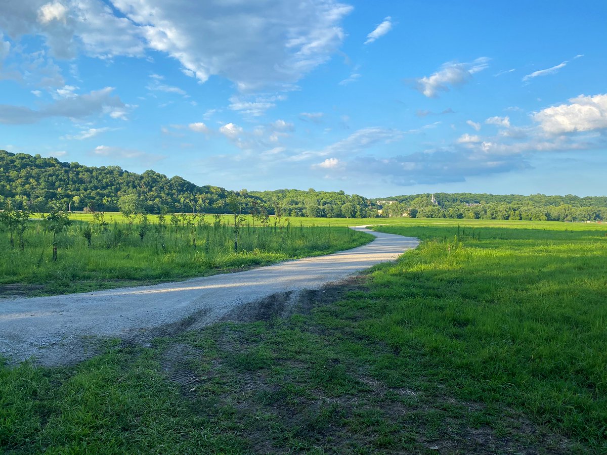 lfrench's tweet photo. A beautiful evening in the Parkville Bottoms wetlands tonight.  #EcoRecreation https://t.co/lXr3IBolGv