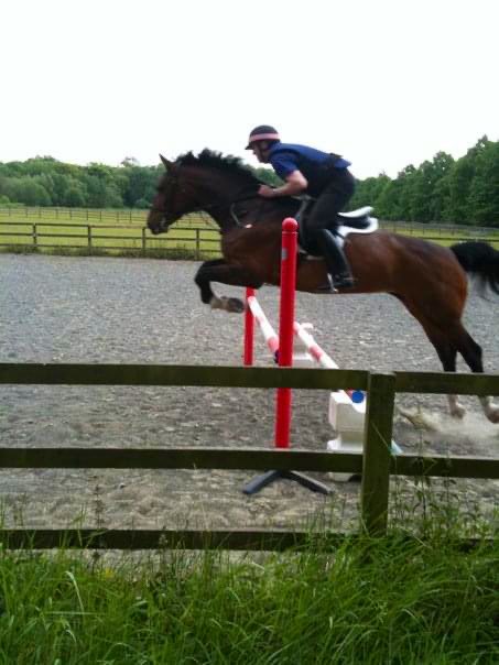 littledave72's tweet photo. #ThrowbackThursday #jumpingfun at Bushy Park with @CityHorses #showjumping #policehorselife #phbowron #phlittledave #backintheday https://t.co/PK14ch0ePo