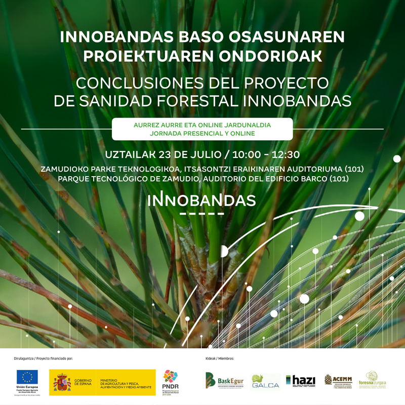 hazifundazioa's tweet photo. Hoy a las 10 hay una interesante #jornada en la que participa HAZI:
"Conclusiones del proyecto de sanidad #forestal #innobandas "
👉https://t.co/7lYUUL2kAK
📍Parque Tecnológico de Zamudio, Bizkaia
⏲️10 a 12:30
#forest https://t.co/cMbQQnKMO1