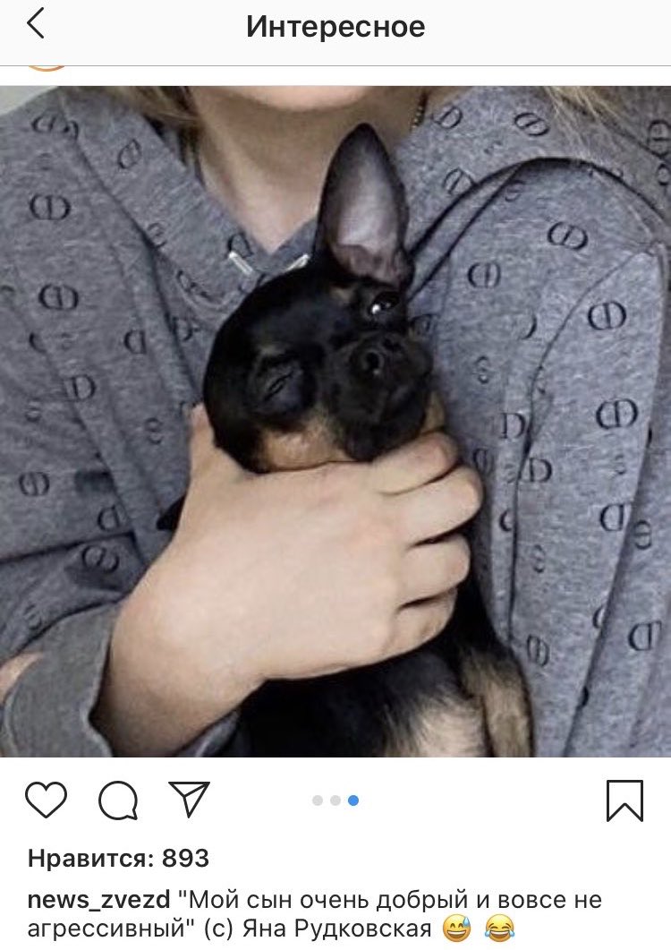 _MORHFINEBEIBS's tweet photo. Простите над таким не смеются, но я ору как шакал🤣 https://t.co/VDhHk1ULv2