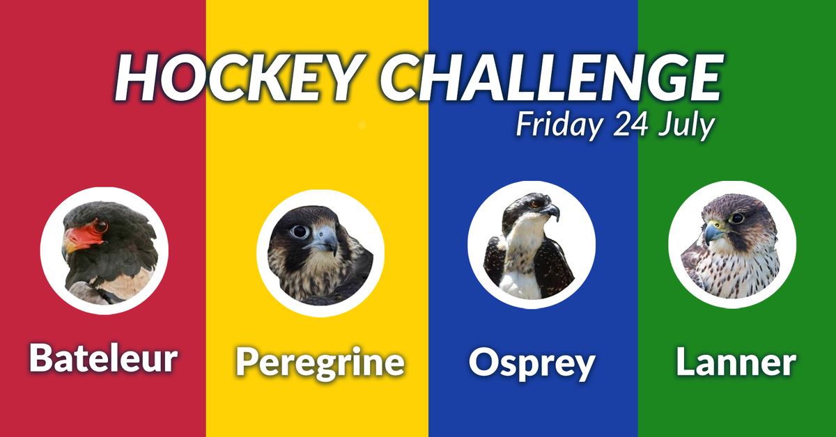 penrynprep's tweet photo. Tomorrow our second #InterhouseChallenge kicks off. Our scholars have practiced their skills during their lessons this week and we are sure they are ready to take on the challenge for their Houses tomorrow. #PenrynPride https://t.co/R7qFBIV5qO