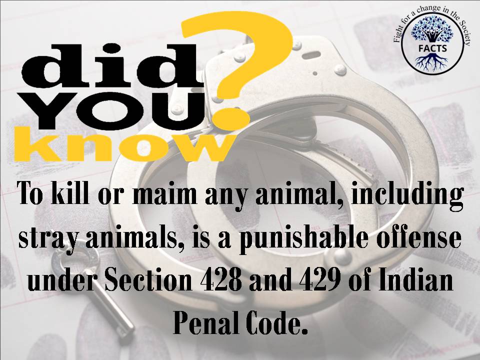 Fight_forchange's tweet photo. Due to a lack of awareness and knowledge, Animals are being abused throughout India. 
Kindly share these law points with your contacts to make people understand that animals too have rights and we need to respect them.

Read the full article here: https://t.co/cxhwmmDpwD https://t.co/sljvkfIk0K