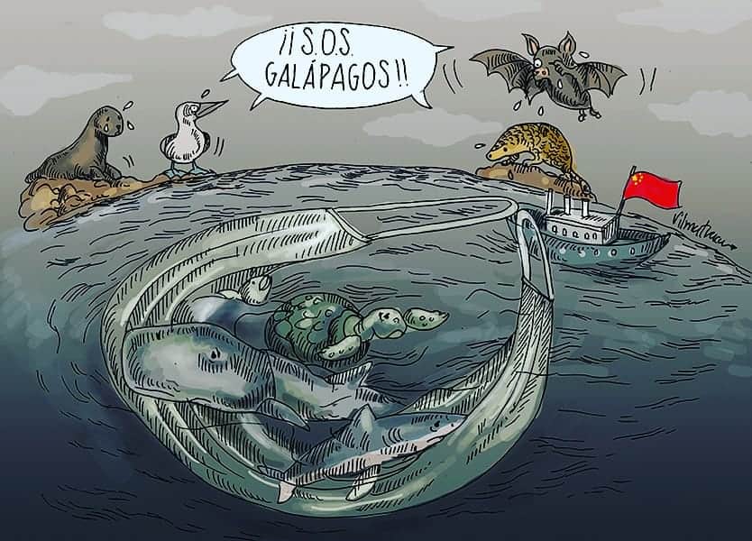🆘️ Una gigantesca flota de 260 barcos chinos rodea a las Islas Galápagos.
Duele ver la ineptitud y la pasividad de las autoridades frente a esta depredación.

#FlotaChina #Galápagos #SOSGalápagos #Mar #Biodiversidad #Ecuador