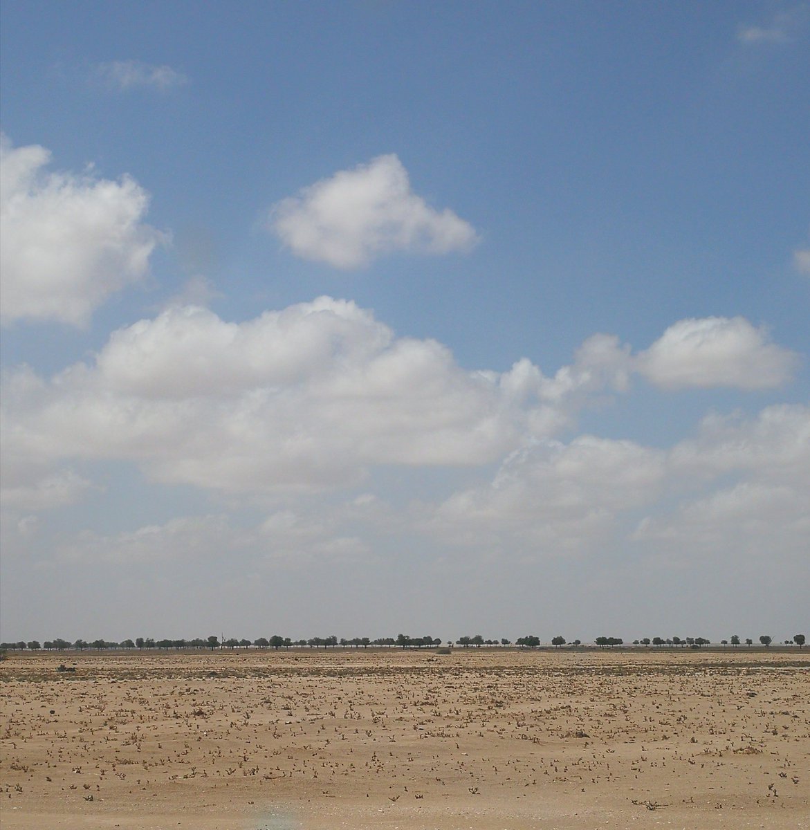 vaaaaaa9009's tweet photo. إذا أصبحت فقل :

دعاء النبي *ﷺ*
اللهم أبسط  علينا من بركاتك ورحمتك وفضلك ورزقك اللهم إني أسألك النعيم المقيم الذي لا يحول ولا يزول .🍀
“اللهم إني استودعتك يومي هذا فلا تجعل فيه مايثقل صدري واجعل به مايسّرني 💚ياأرحم الراحمين 💚
 *أسعد الله صباحكم* https://t.co/6d63ncDN8I