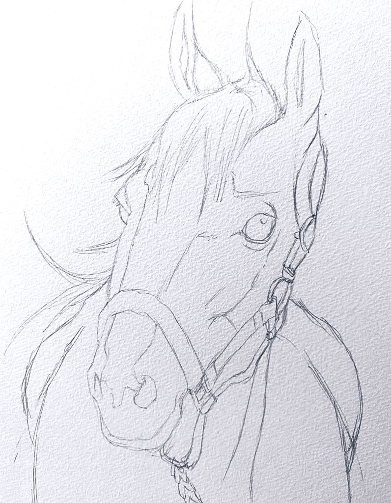 友人に、馬描いてみたら?
と言われたのでちょっと息抜きに
描いてみました。
#絵描きさんと繋がりたい 
#馬 