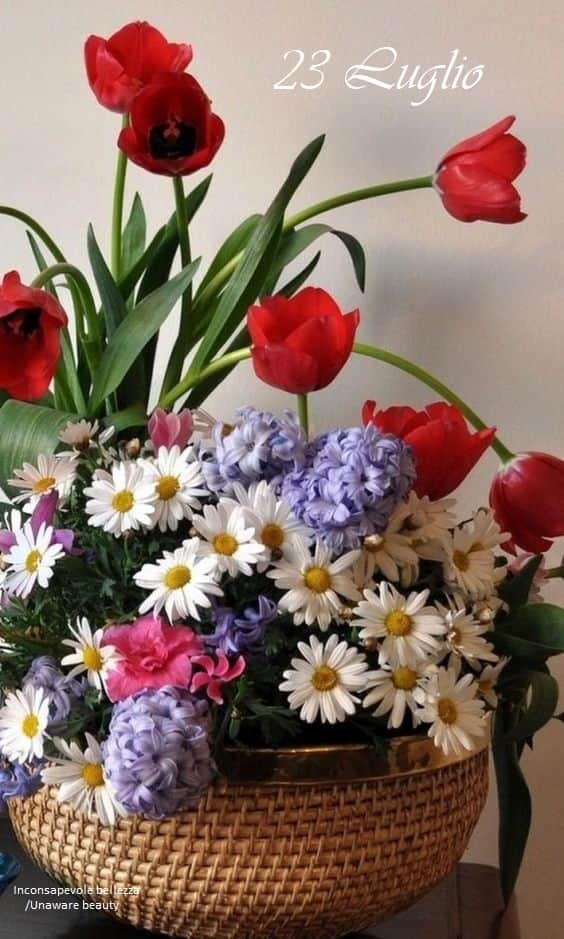 Ciro28812809's tweet photo. @AnnaRDelorenzo Buongiorno Anna buon giovedì ☕🌞🌹 https://t.co/9WPUkNY2D1