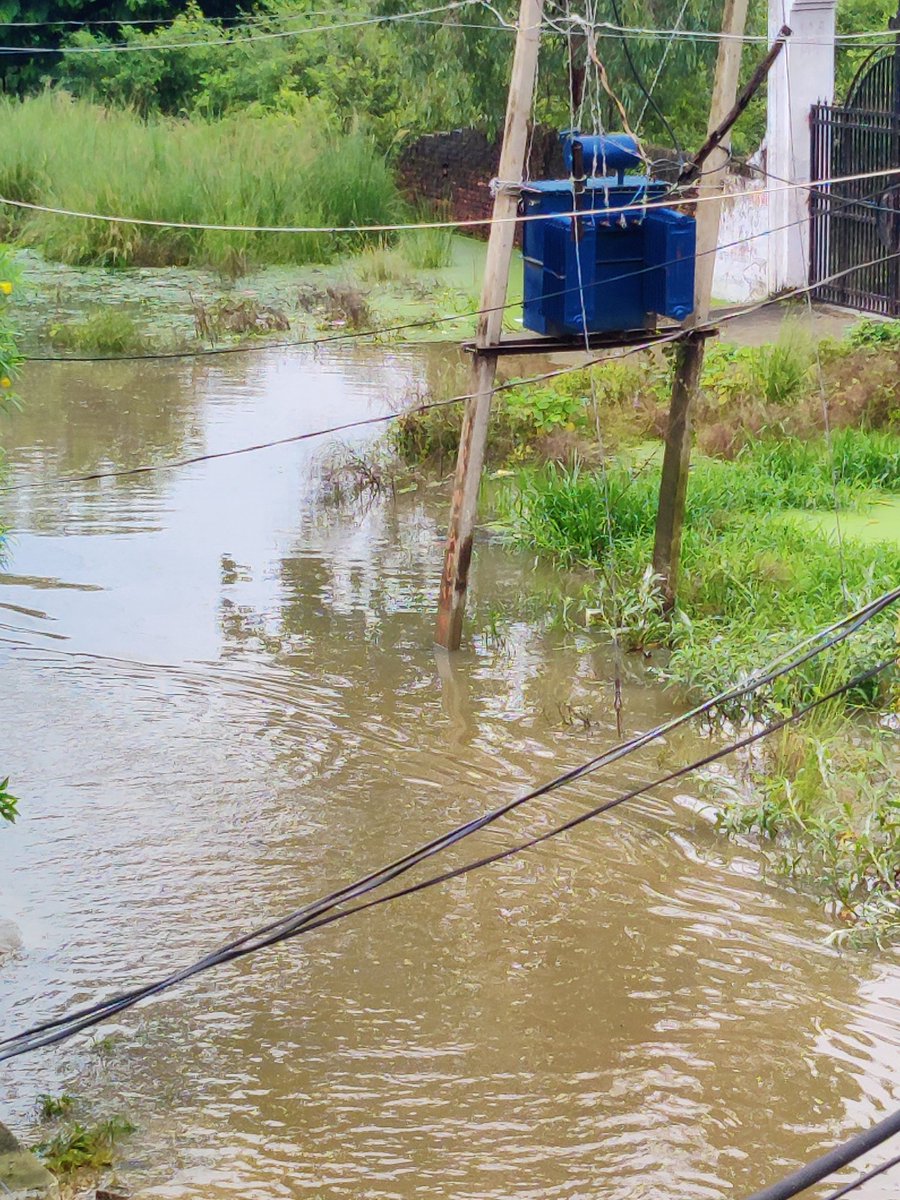 This is the reality of drainage system and so called efforts claimed by govt. officials at ward no 1, Bhatpar Rani Deoria. Journalists raise the voice of nation, but here I am also stuck. Please take immediate action. <a href="/dmdeoria/">DM Deoria</a> <a href="/CdoDeoria/">CDO DEORIA</a> <a href="/shalabhmani/">Dr. Shalabh Mani Tripathi</a> <a href="/GopalJi_Tandon/">Ashutosh Tandon</a> <a href="/bstvlive/">भारत समाचार | Bharat Samachar</a>