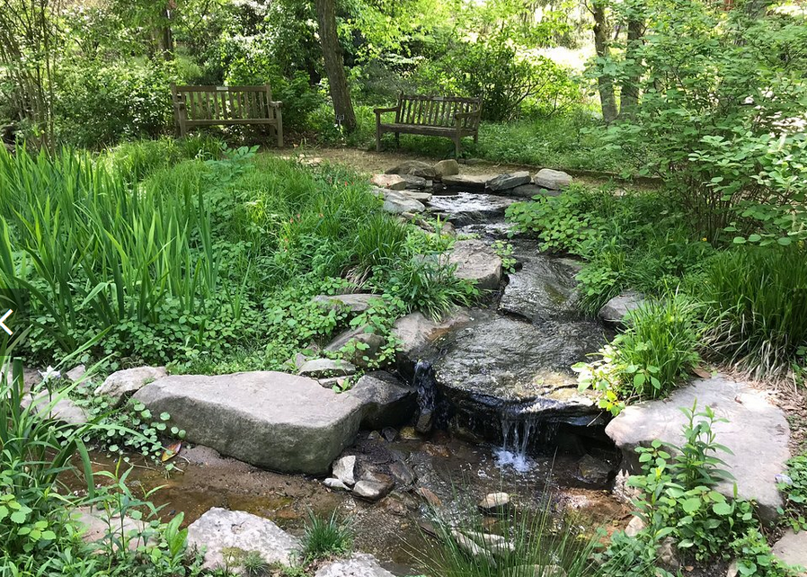 Prior to 1795 the most important water source on campus was a spring in what's now Coker Arboretum. It still exists, on the north end by the back wall of the Chapel of the Cross.