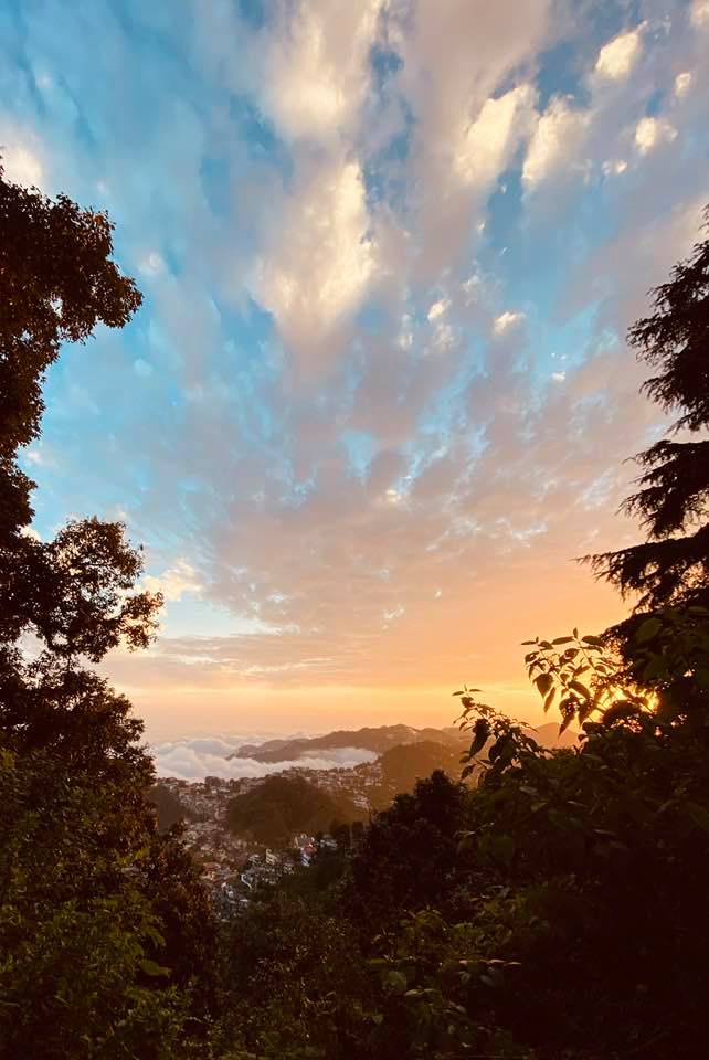 MyMussoorie tweet media