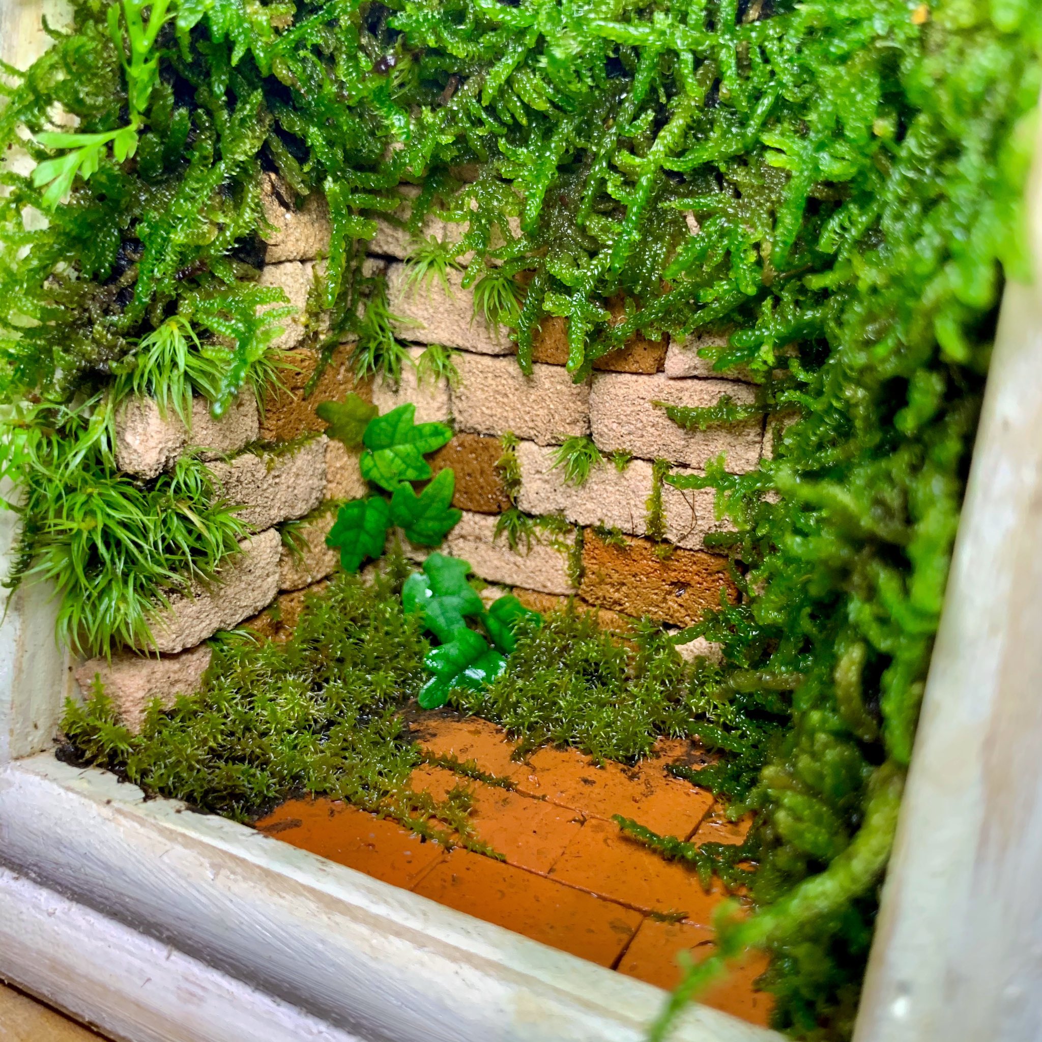 Theonlyone Bottleterrarium ミニレンガを使用して作った苔テラリウム レンガが水を吸って適度な湿度を保っています T Co Va6jflmu34 Twitter