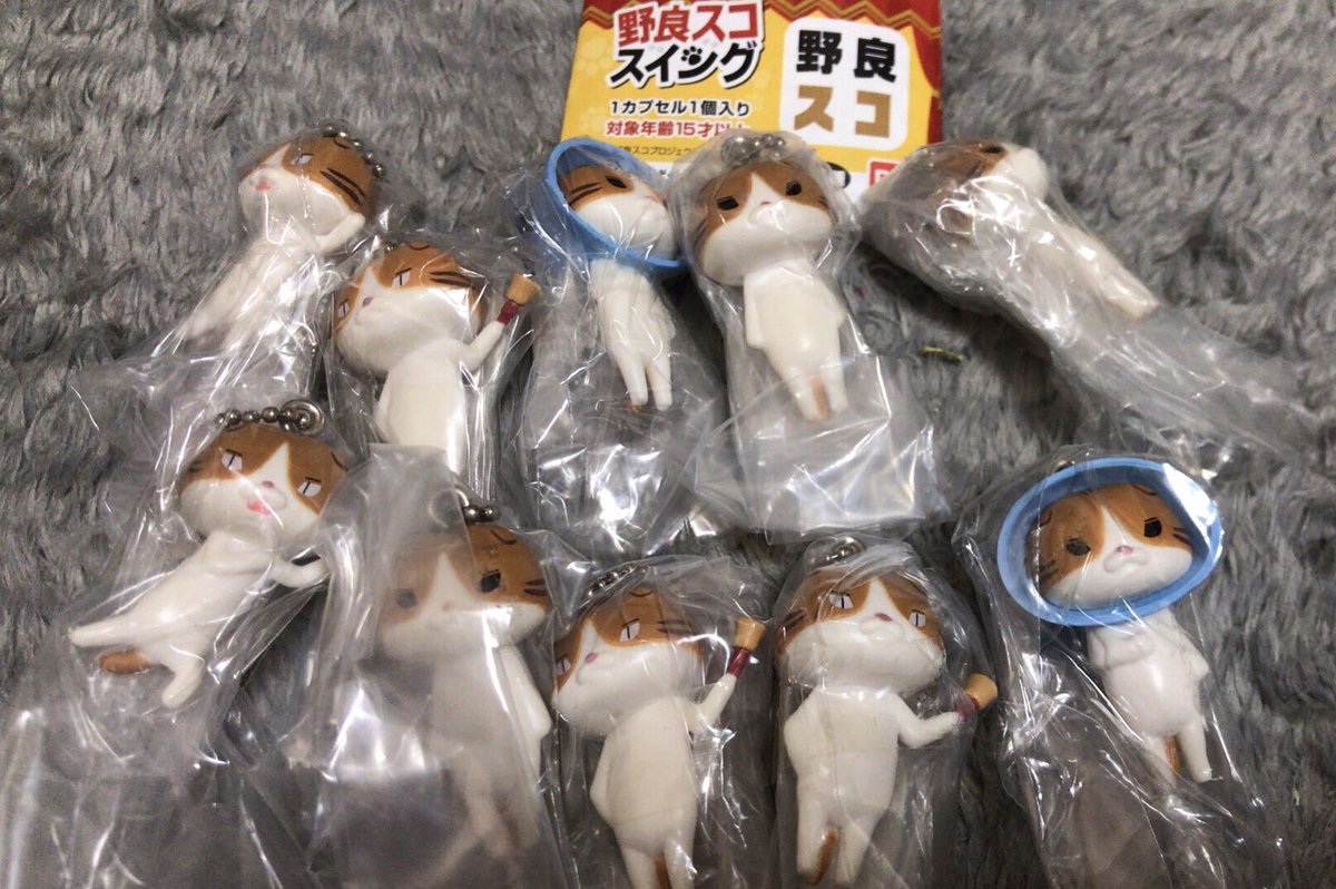 野良スコ
