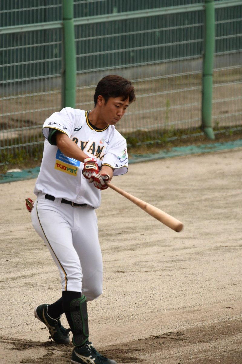 東京新大学野球連盟