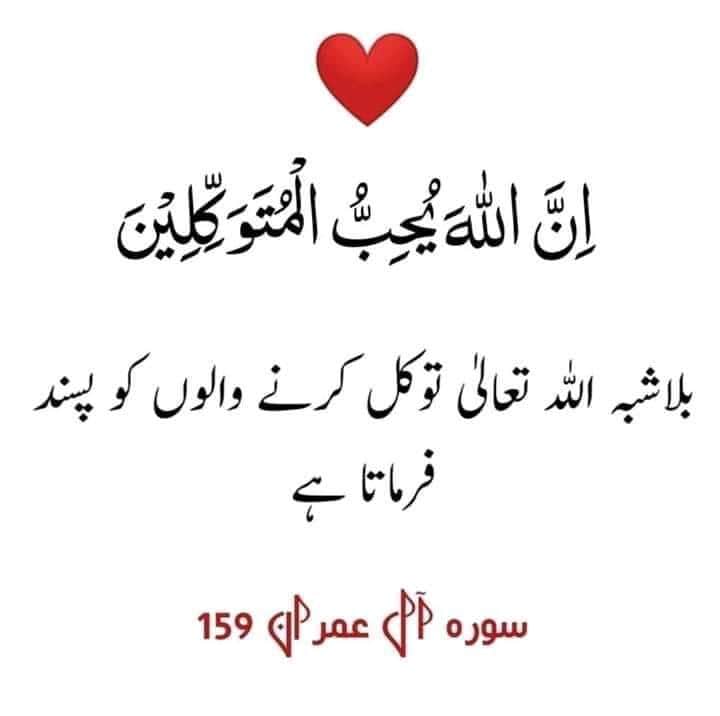 iqra_reshi's tweet photo. https://t.co/kDbbwxLHwJ