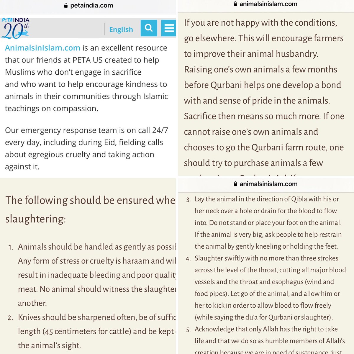 ShefVaidya's tweet photo. Bakri-Eid is less than a week away and @PetaIndia has gone in a secular coma, after writing to ‘police chiefs’ to stop ‘illegal transportation’. Not ONE word about slaughter. Not one hoarding that mentions EID. They will b back on Janmashtami to tell Hindus to stop eating butter! https://t.co/PgzKHmB8za