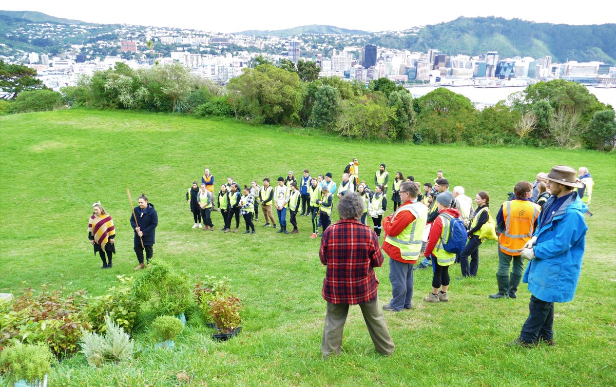MPI_NZ's tweet photo. We joined Conservation Volunteers Wellington to plant 1000 native trees at Tangi Te Keo (Mt Victoria) in celebration of Matariki. Together, we’re planning on planting over 45,000 trees over the next three years to help restore a native forest to the heart of the city! https://t.co/pDDAlbO7fe