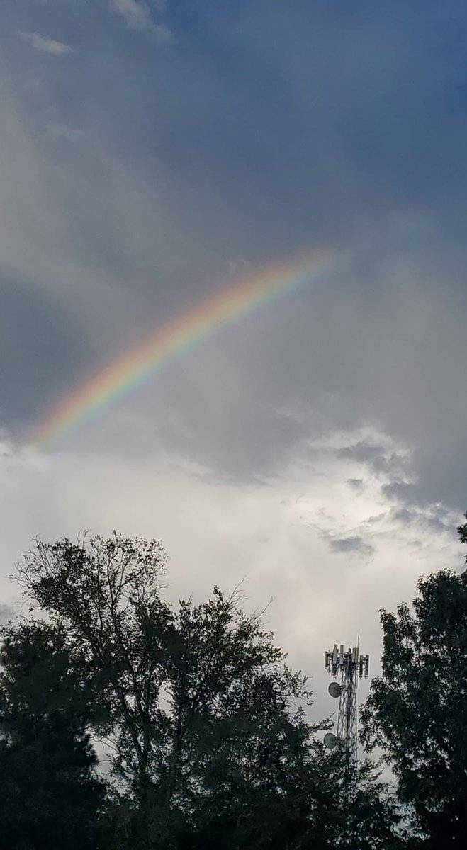 nanapoon68's tweet photo. @KPRC2Frank 
Hi Frank ..my daughter Miriam took this picture tonight in Kingwood ...beautiful rainbow...
Angela https://t.co/BDZUQJm8Su