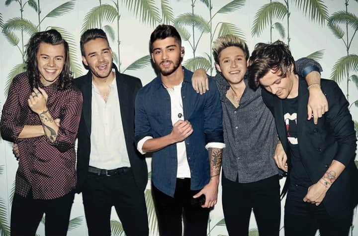 fizak_'s tweet photo. the content we wanted vs the content we got #10YearsOfOneDirection https://t.co/96rBcQ0UP9